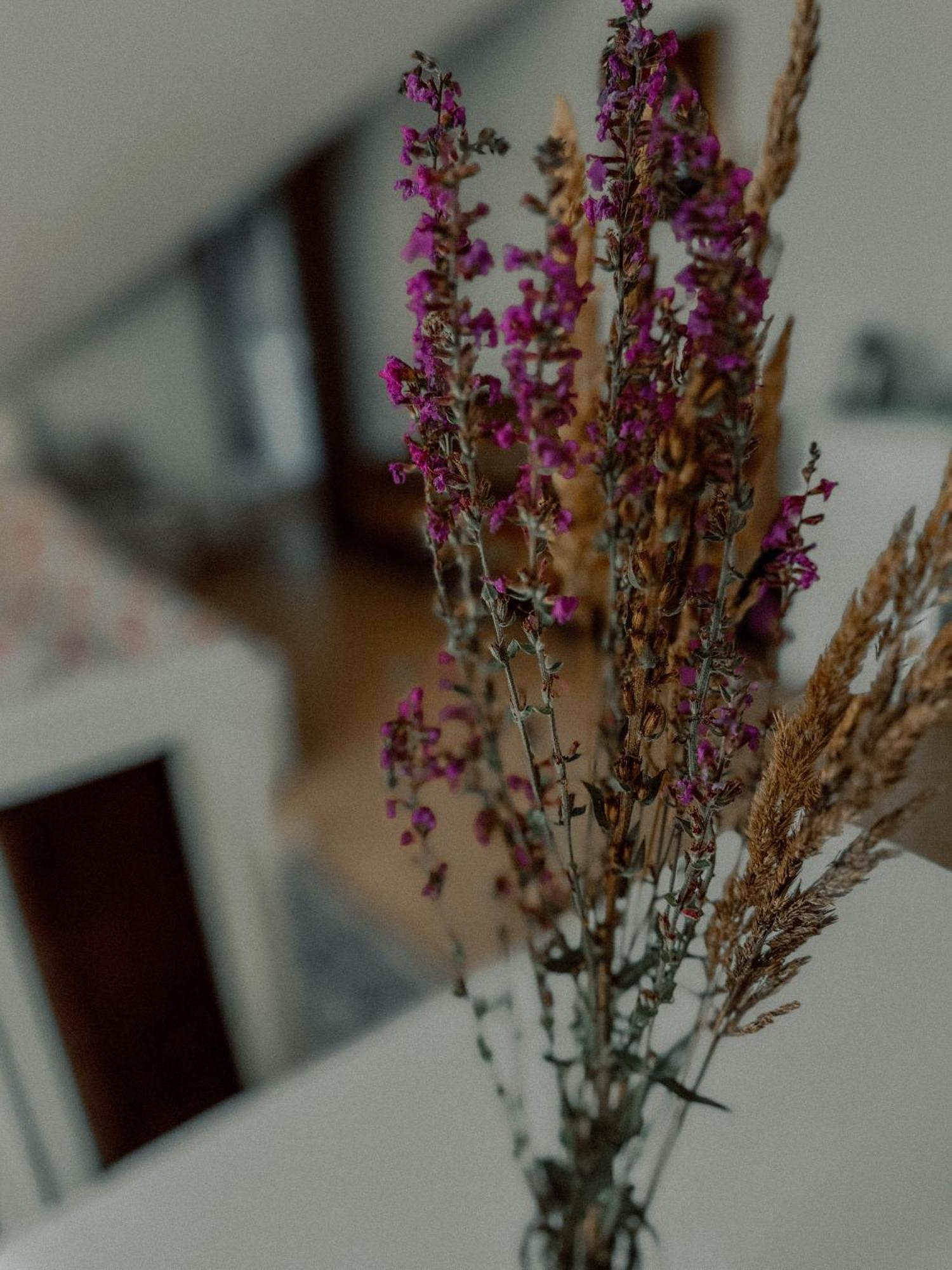 Boho Przystan Apartment Lazy  Exterior photo